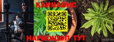 прущие грибы Шахты
