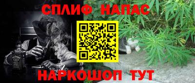 прущие грибы Шахты
