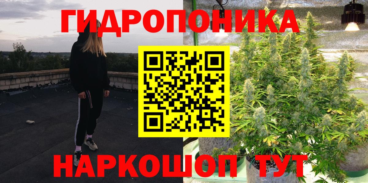 Бошки Шишки OG Kush  Вход с VPN  Владимир  Шишки марихуана THC 21% 
